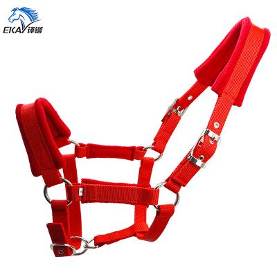 China Wide PP Webbing 25MM PP Strap Horse Halter. Nickel plated metal fittings.with fleece cushion, with eyelet. for sale