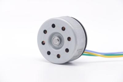 Cina DBL3825 12V 24V BLDC Motor High Torque Fascial Gun Mini DC Motor senza spazzole in vendita