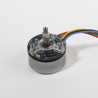 China 38mm 12V DC brushless motor for massage gun outrunner brushless motors for sale