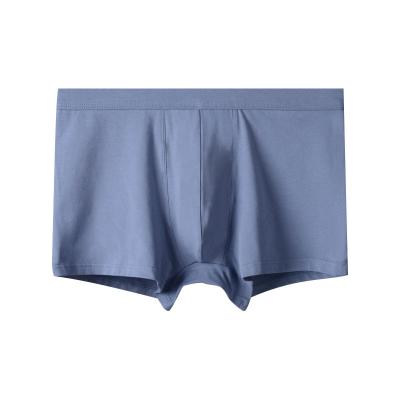 China 100% Antibacterial Cotton Crotch Men's Bulge Men