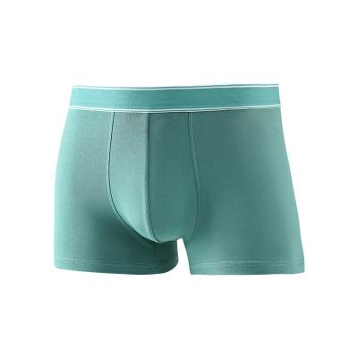 China Antibacterial Breathable Gay Cartoon Penis Boy G Short Boxer Briefs Sex Men's Plus Size Sexy Underwear for sale