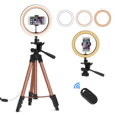 China LED Ring Light 6