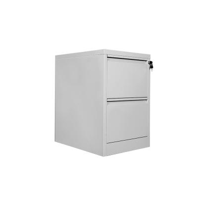 China 2 Drawer Adjustable (Height) Filing Cabinet Steel Cabinet Metal Locker for sale