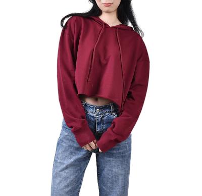 China Autumn 2021 Women's Clothing Anti-Wrinkle Casual Simple Top Crop Cotton Sweater Long Sleeve Top Women's Clothing Hoodies Sweater for sale