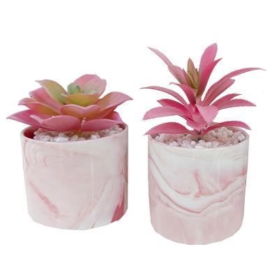 China High Quality Natural Artificial Succulent Potted Decoration Simulation Rose New Products Touch Succulent Plants In Pots For Home Decor for sale