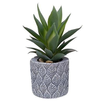 China Hot Selling Eco-friendly Simulation Amazon Plant Desktop Decoration Creative Potted Artificial Plastic Succulent Green Plant Succulent for sale