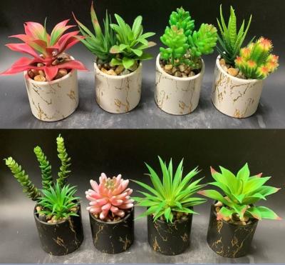 China Natural Touch Artificial Succulent Bonsai Plants Artificial Succulent Flower Ceramic Pots Plants Home Ministry Store Wedding for sale