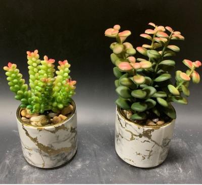 China Artificial plastic+ceramic Succulents plants and flowers texture hand-made ceramic plant pots simulation Succulents direct supply for sale