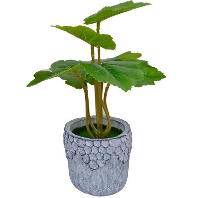 China Hot Selling Amazon Natural Touch Combination Simulated Green Plants Mini Plant Bonsai Style Plants Nordic Potted Home Office Furnishings for sale