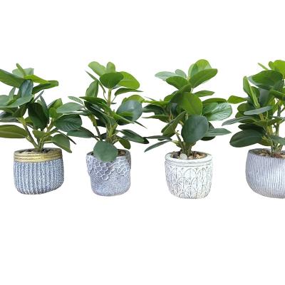 China Eco-friendly new products cute artificial potted plant visual experience new simulated green plant wall for home or office decor for sale