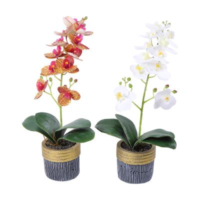 China Phalaenopsis ceramic bonsai simulation high level flower pot European and American factory decoration table style direct sales can be custom-made for sale