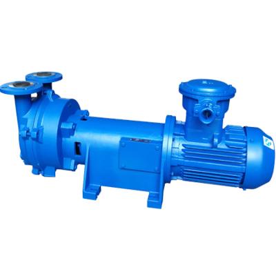 China Automotive Industry 2BV Water Circulating Liquid Ring Vacuum Pump With Motor EX for sale