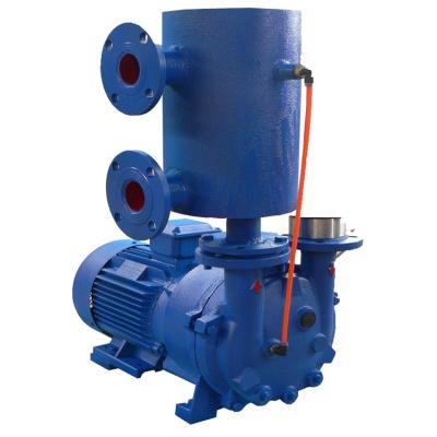 China Automotive Industry Vacuum Pump For Oil Water 2BV5 121 Rotary Ring Vacuum Pump Sliding Vane Vacuum Pump for sale