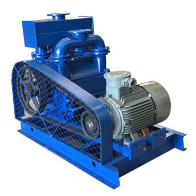 China Automotive industry 2BE1 liquid ring vacuum pump for vacuum forming applicable to all industries for sale