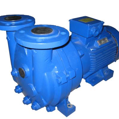 China Automotive Industry Stainless Steel 2BV5-131 400m3/h Single Stage Direct Drive Water Ring Vacuum Pump for sale