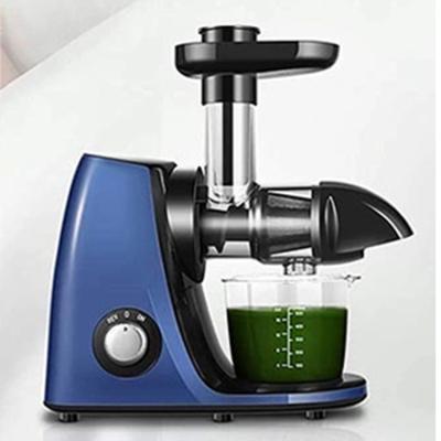 China High Rate RV Market Home Fruit Juicer About Competitive Oem Stainless Steel Cold Slow Press Screw Reduce Oxidation for sale