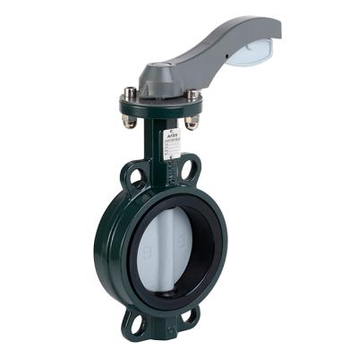 China Ductile Hook Type Manual Cast Iron Butterfly Valve Sewage Netting Price for sale