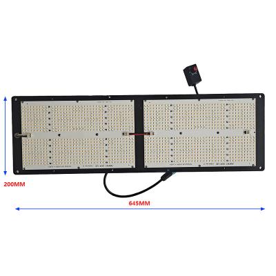 China Seed Starting Exgrow QB648 Full Spectrum Panel Led Grow Lights For Indoor Plants for sale