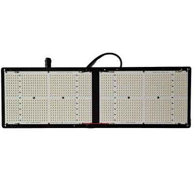 China Seed Starting High Quality Horticulture Lighting Samsung LM301H QB648 260W LED Grow Light for sale