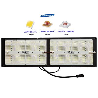 China Seed Starting High Efficiency Led Growlights Diablo QB648 Boards 260W Plant Lamp For 4x2ft Room for sale