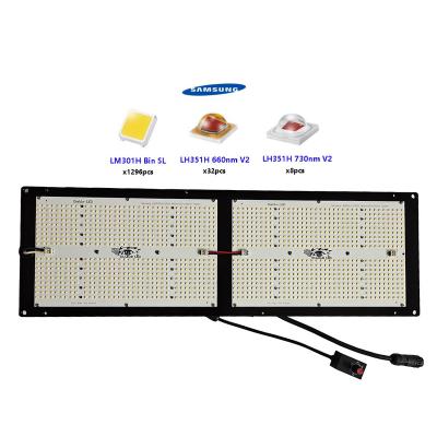 China Seed Starting Best 260watt LM301H Board Grow Led Light With Deep Red 660nm  For Indoor Planting for sale