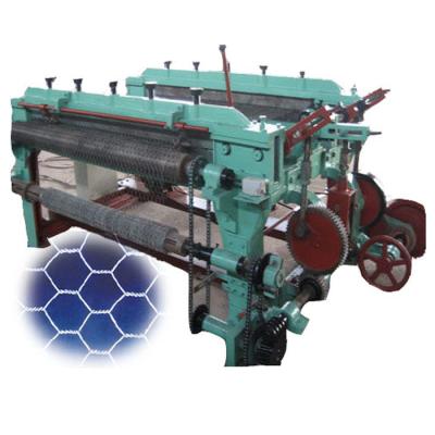 China Building Material Shops Hexagonal Wire Mesh Chicken Cage Machine For Factory Use for sale