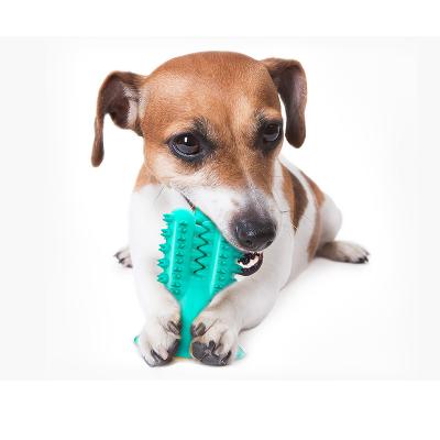 China Viable Little Guy Dog Toothbrush Chew Amazon Best Selling Catctus Toys Suction Cup Dog Chew Toy for sale