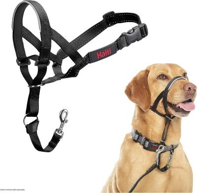 China Stocked The Company of Animals HALTI Headcollar for sale