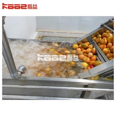 China 20 T/h Mango-Saft-Produktionslinie Mango-Fruchtsaft-Verarbeitungsmaschine zu verkaufen