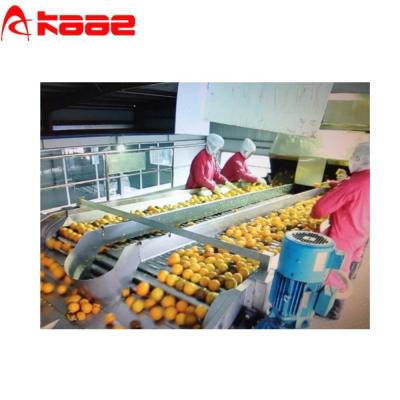 China 750 Watt automatische Fruchtsortierermaschine 304 Rollenlift-Transportmaschine Schwerlastförderrollen zu verkaufen