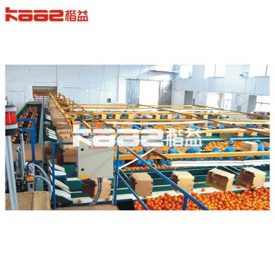 China High-Resolution Full-Auto Photoelectric Fruits Grader Automatic Fruit Sorting Machine for sale