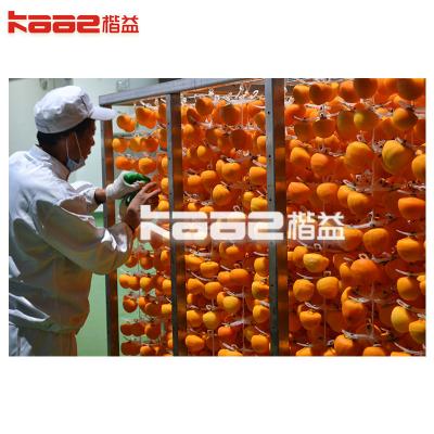 China Persimmon Peeling Machine Compact Structure Persimmon Drying Machine for sale