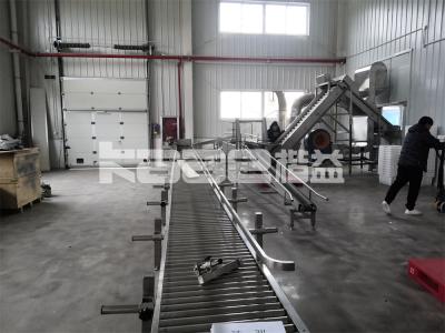 China Nuts Ginger Conveyor Dryer Machine Fish Chilli Dryer Machine for sale