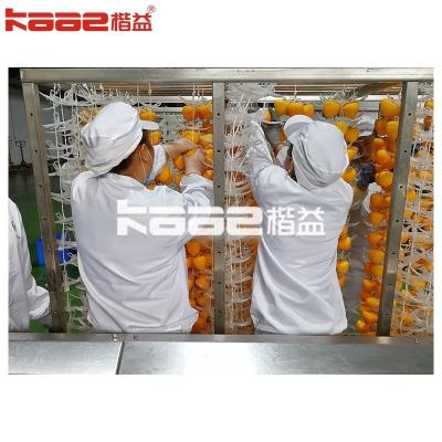 China Eat Directly Premium Grade Dried Persimmon Processing Line For Food Processing Plant for sale