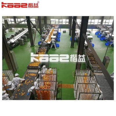 China Fully Automatic Dried Persimmon Processing Line For Food Processing Plant for sale