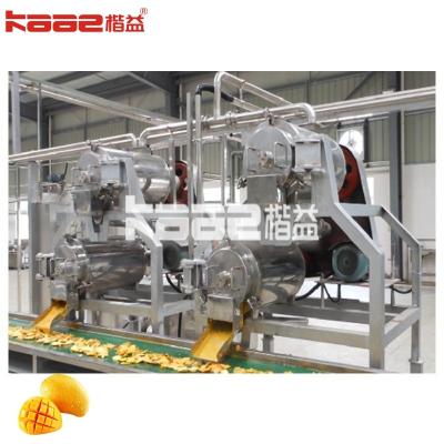 China Efficiënte 220V/380V Fruit Mango Processing Line Fruit Juice Machine Te koop