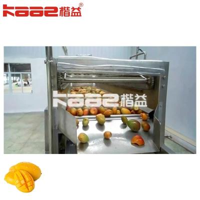 China Automatische productielijn voor het verwerken van fruit mango sap 50-500 ml drankvloeistof Te koop