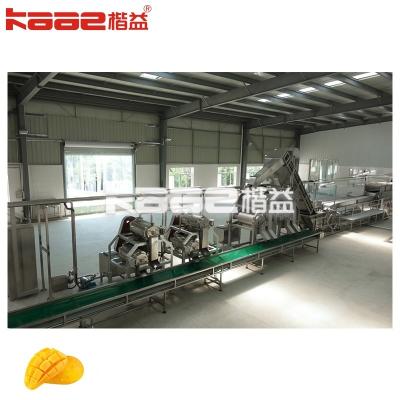 China 1-120T/H Dual Channel Juicer Fresh Fruit Processing Line Mango Pulp Production Line for sale