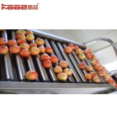 China 10 Grading Lanes Accurate Weight Sorting Automatic Apple Grading Machine For Food for sale