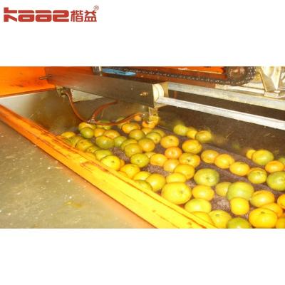 China KAAE Grading Automatic Fruit Sorting Machine Vegetable Apple Orange Potato Accurate for sale