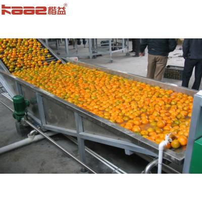 China Máquina automática de clasificación de frutas Máquina electrónica de clasificación de peso de frutas en venta