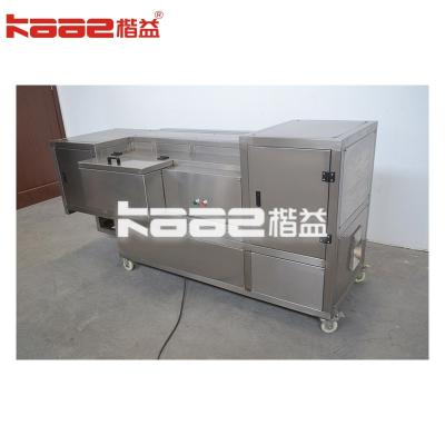 China Sustainable Dates Processing Machine With High Efficiency for sale