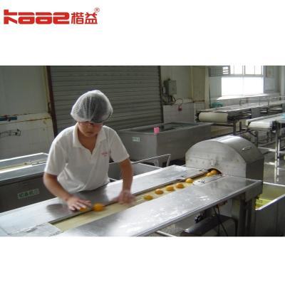 China Acceptable Customized Canned Hawthorn Canned Cherry Canned Food Production Line for sale