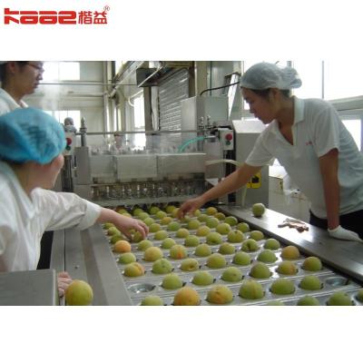 China Canned Pineapple Canned Grapes Canned Food Production Line for sale