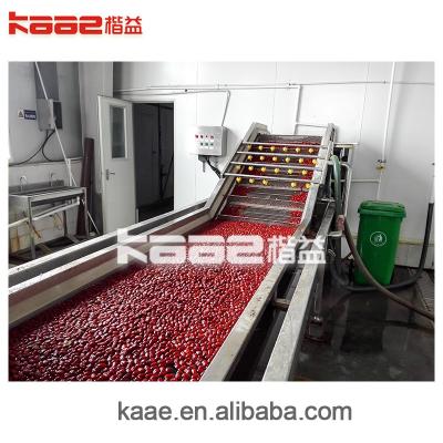 Cina Macchina di lavorazione delle date completamente automatica CE linea di produzione di lavorazione profonda di jujube in vendita