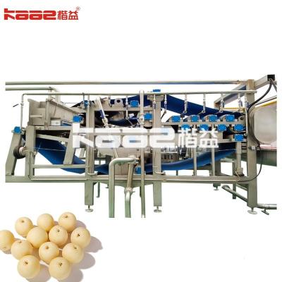 China Fruit Apple Juice Processing Equipment Juice Mixing Production Line for sale