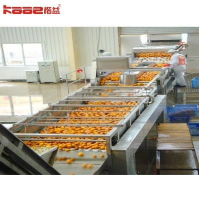 China 1 - 120 toneladas/h Proyecto llave en mano Máquina automática de extracción de zumo de naranja en venta