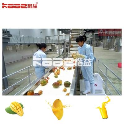 China SS304 Mango sap productie lijn Ananas sap verwerking lijn op maat Te koop