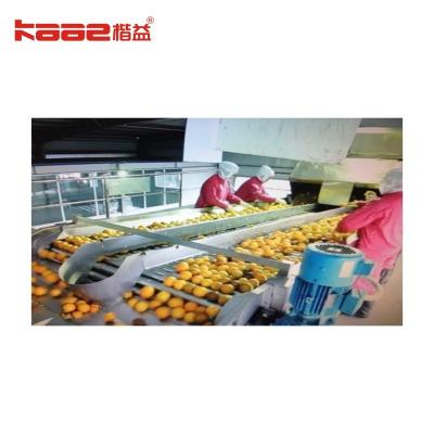 China Sortend rolconveyor Automatische appelsorteermachine Rol sorteermachine Te koop