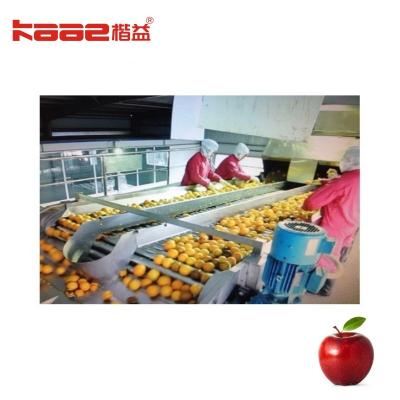 China Use Weighing Intelligent Photoelectric Apple Sorting System For Apples for sale